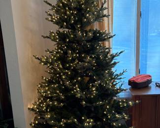 Pre-light Christmas Tree