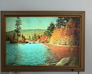 Vintage Light Up Picture