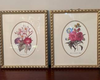 Framed Floral Prints
