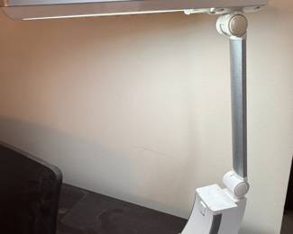 Adjustable Desk Lamp
