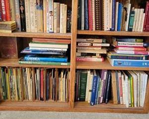 Vintage Book Collection and Vinyl Records Lot