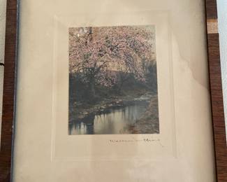 Early small Wallace Nutting hand colored photo Apple/cherry blossom