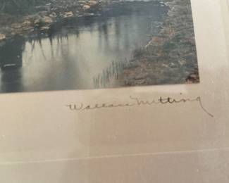 Early small Wallace Nutting hand colored photo Apple/cherry blossom