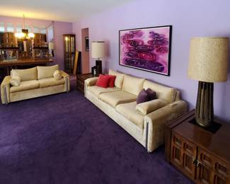 Beautiful Mid Century Living Room! 