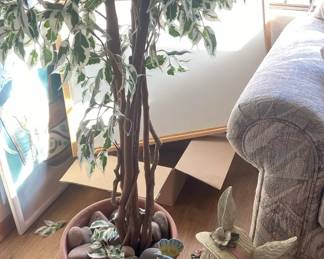 A Ficus Tree And A Bunny