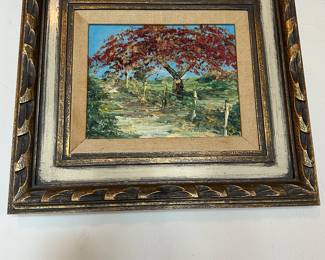 Another Miami poinciana tree