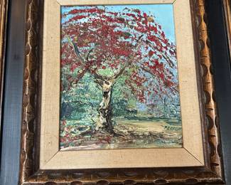 Miami poinciana tree