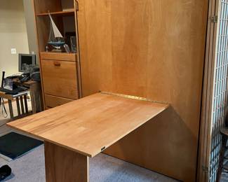 Full Size Murphy Bed with Desk and Storage