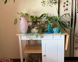 Kitchen Island, more healthy plants