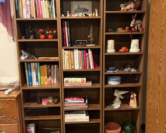 Lots of books, bookcases, office supplies