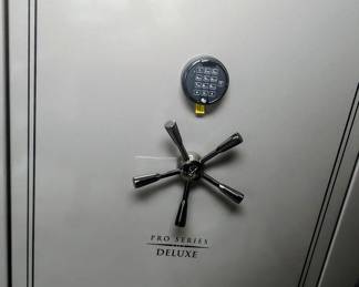 Browning Pro Series Deluxe Lighted Gun Safe