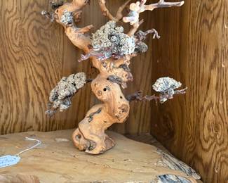 Petrified bonsi tree