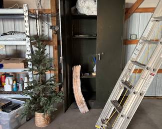 Storage cabinet, large ladder, out door decor , lights, fence cable wire, deck lights 