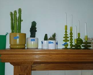 Lots of plants catus 