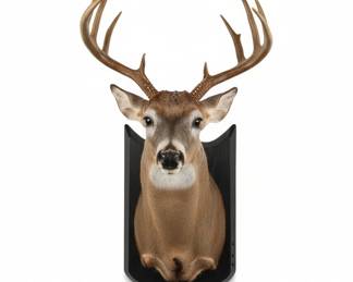 Gemmy Animated Buck the Animated Trophy Singing Deer Head second image