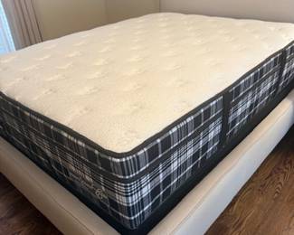 QUEEN SIZE DOCTORS CHOICE ELITE FIRM MATTRESS ONLY.  NEW IN 10/23