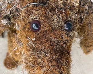 Moss and Succulent Dachshund Topiary second image