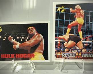 HULK HOGAN WRESTLING CARD LOT