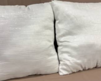 Two Matching Large Home Decor Square Pillows