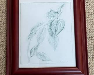 Pencil Drawing of a Plant with Anne Landreth Signature and AP Mark