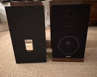 Fisher DS Way Speakers