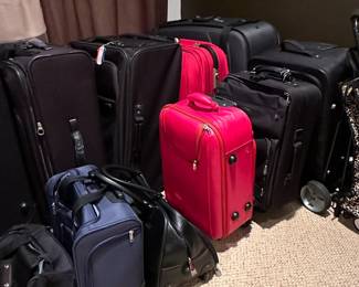 Assorted Luggage Set