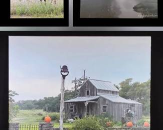 Capturing the Heart of Texas Trio of Rustic Photographic Art Prints