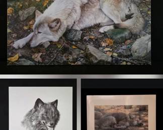 Carl Brenders Wolf Prints Works Including Rare The Fall Guy Giclee Canvas... With Certificates