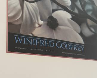 Winifred Godfrey