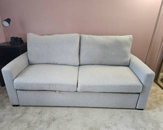 Sleeper sofa (2)