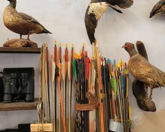 Arrows, Dove decoys and ducks!