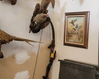 Compound bow and ...more ducks!