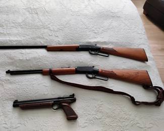 20 and 22. & pellet gun