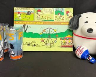 SH352Peanuts Every Sunday Book And More 