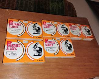 Slides for Microscope 