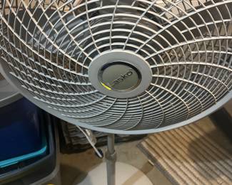 fan