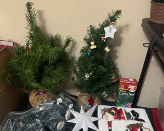 Mini Christmas trees