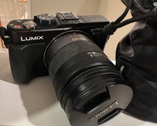 Panasonic Lumix DMC-GX1 mirrorless camera paired with a Lumix G Vario 14-45mm kit lens
