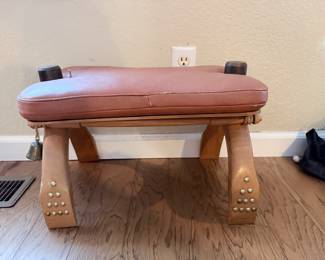 camel saddle