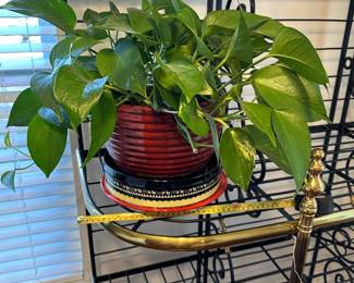 H18 - $15. Houseplant with Ceramic Planter. 