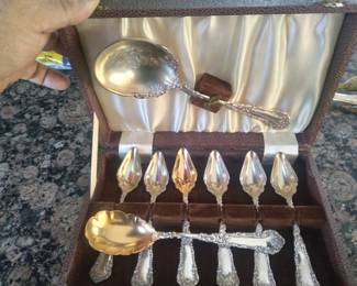 Silver boxed spoon set