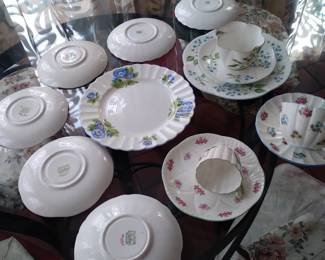 Collection of shelly porcalian