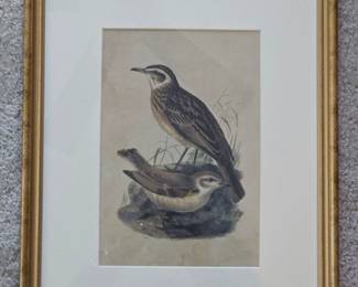 Woodlark and Skylark, Antique Print by John Gould