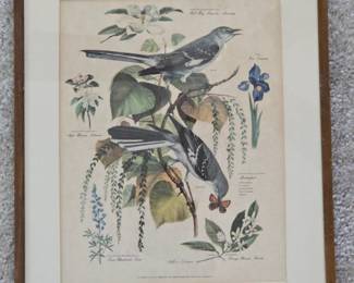 Arthur Singer Mockingbird Print, Number in a Series of State Birds and Flowers