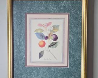 Framed Botanical Print Figues En Fleur