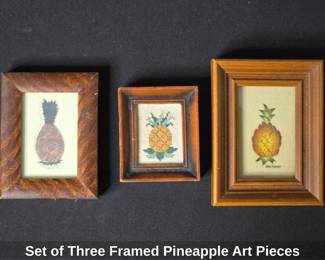 Set of Three Framed Pineapple Art Pieces