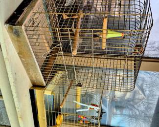 Bird cages