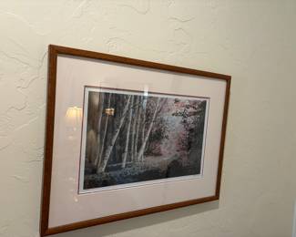 Four Signed Diane Graebner Prints
