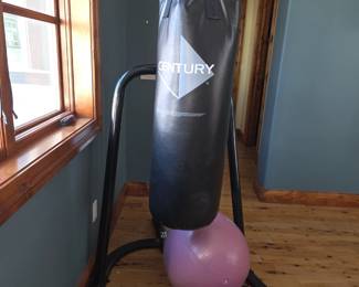 Century Punching bag