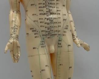 Vintage Acupuncture Human Body Teaching Model with Original Box